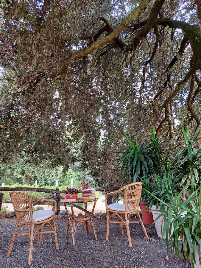 Casa Vacanze "L'Aione" Gambassi Terme Exterior foto