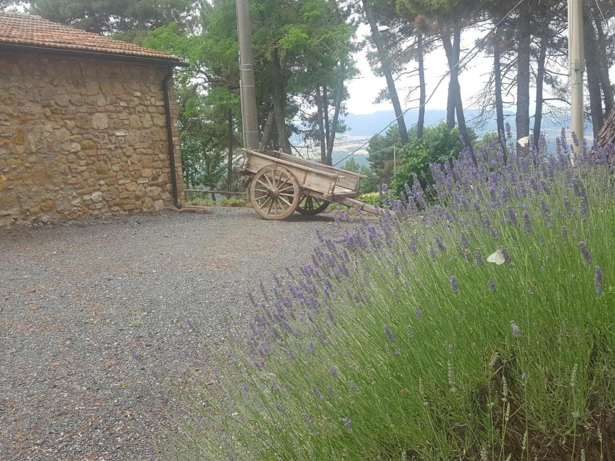 Casa Vacanze "L'Aione" Gambassi Terme Exterior foto
