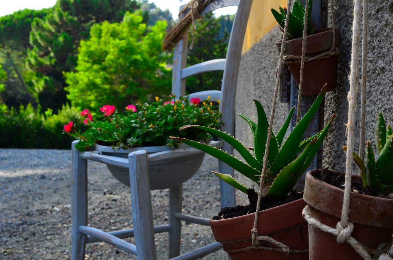 Casa Vacanze "L'Aione" Gambassi Terme Exterior foto